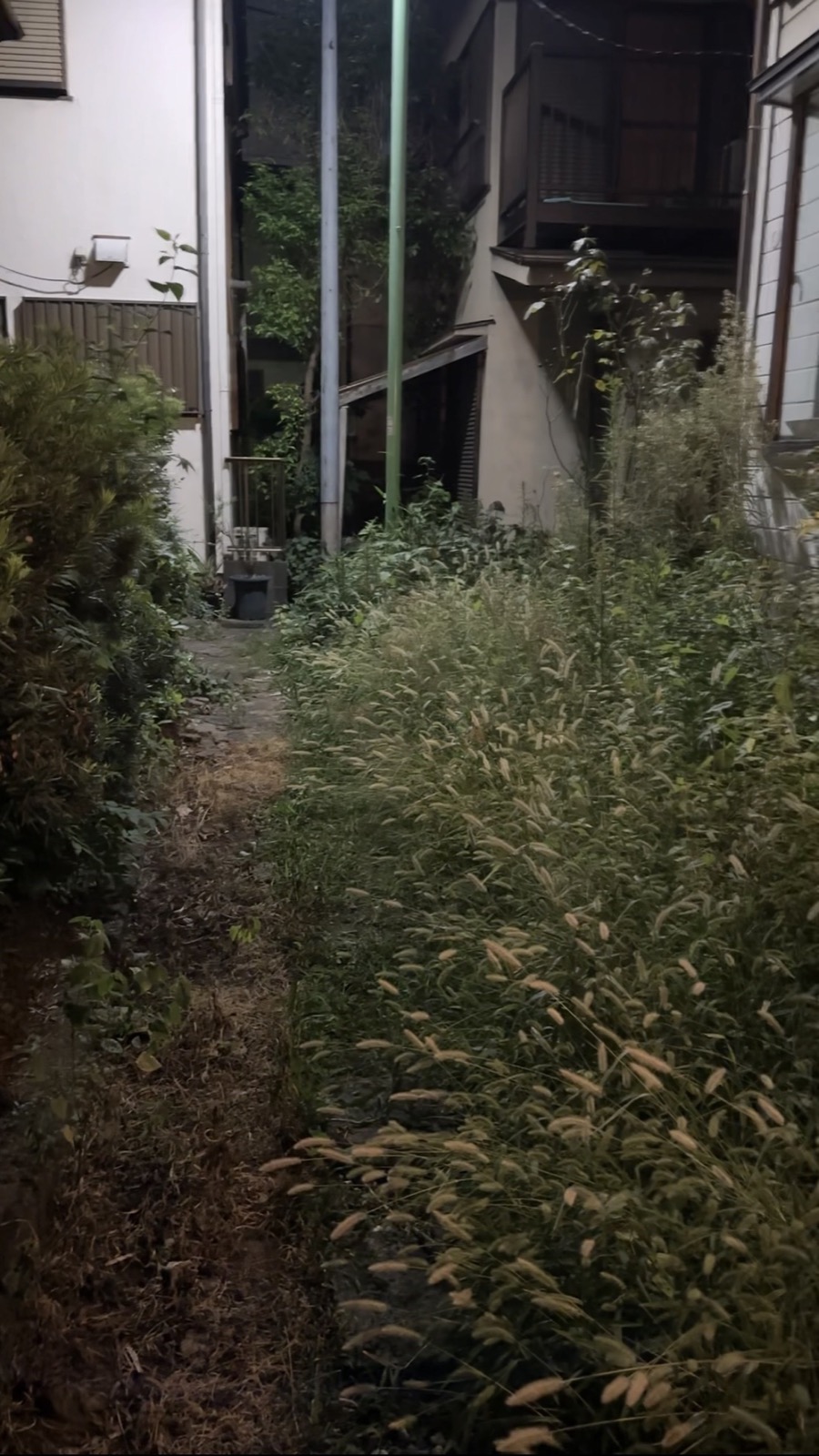 1959 Showa Cottage Near Heiwadai, Nerima